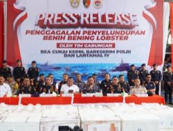 Konferensi Pers Penyelundupan Benih Bening Lobster Sebanyak 237.305 Benih Bening Lobster Senilai 23,6 Miliar Rupiah