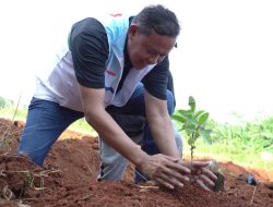 Tri Adhianto Dorong Urban Farming Seabagai Solusi Ketahanan Pangan dan Wisata Hijau di Kota Bekasi