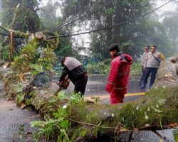 Akses Jalur Medan – Brastagi Terputus, TNI- Polri Bersinergi Lakukan Evakuasi