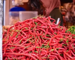 Harga Cabai Naik Menjelang Puasa