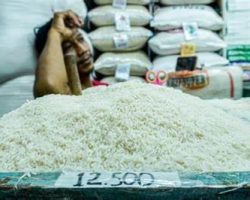 Harga Beras Melonjak: Bagaimana Pengendalian Pemerintah?