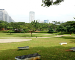 Indonesia Meluncurkan Proyek Infrastruktur Hijau: Meningkatkan Kualitas Lingkungan dan Ekonomi