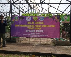 Roy Nurdin DPP ASPAI   : Varietas Anggur Lokal PONJAY BENDAV Asset Pemkot Tangsel Mampu Menurunkan Nilai Impor Anggur