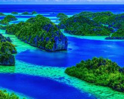 Mengapa Polisi Membebaskan Aktivis Greenpeace yang Menentang Tambang Nikel di Raja Ampat