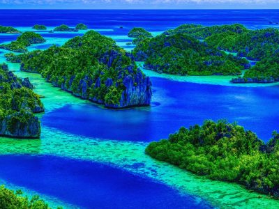 Mengapa Polisi Membebaskan Aktivis Greenpeace yang Menentang Tambang Nikel di Raja Ampat