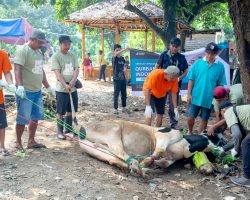 BARESKRIM POLRI SALURKAN HEWAN KURBAN UNTUK WARGA MELALUI YAYASAN RINDANG INDONESIA DI BEKASI