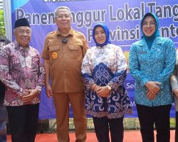 ” PONJAY BENDAV ” Varietas Baru Anggur Lokal Kota Tangerang Selatan