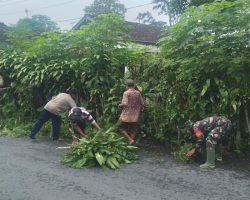 Babinsa Bersama Warga Karangtengah Gotong Royong Bersihkan Jalan