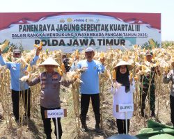 Kapolda Jatim Hadiri Panen Raya Jagung Serentak di Banyuwangi