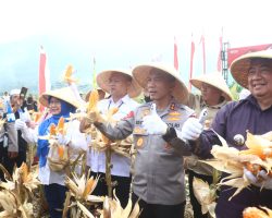 Panen Raya Jagung di Garut, Polda Jabar Wujudkan Dukungan Ketahanan Pangan Nasional