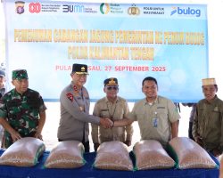 Polda Kalteng Serap 25 Ton Jagung ke Gudang Bulog di Panen Raya Kuartal III