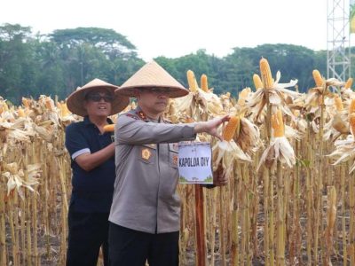 Kapolda DIY Irjen Pol Anggoro Sukartono Hadiri Panen Raya Jagung di Sidorejo
