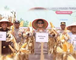 Kapolda Aceh Optimistis Serapan Jagung 2025 Capai Target Nasional