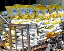 Satgas Pangan Polda NTB Tuntaskan Kasus Beras Oplosan Bermerek Palsu, Tersangka Dilimpahkan ke Kejaksaan