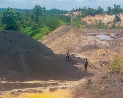 Otorita IKN Tegaskan Komitmen Penegakan Hukum terhadap Aktivitas Ilegal 