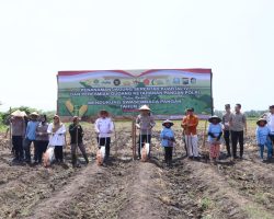 Kapolda Kalteng Pimpin Penanaman Jagung Kuartal IV Bersama Gubernur dan Forkopimda