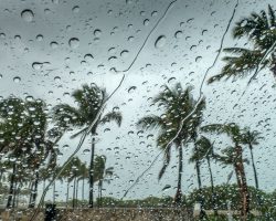 BMKG Peringatkan Puncak Musim Hujan, Waspada Cuaca Ekstrem dan Bencana Hidrometeorologi