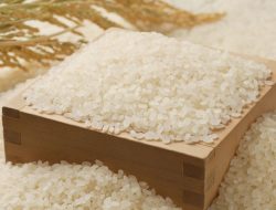 Mengenal Fidyah, Kewajiban Pengganti Puasa bagi Umat Islam