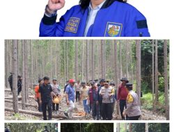 Ketua KNPI Riau Angkat Topi Soal Keseriusan Kapolda Irjen Herry Heryawan Usut Kematian Seekor Gajah