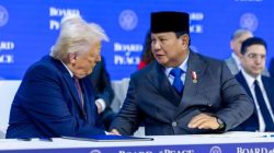 Indonesia Gabung Board of Peace, Apa Manfaatnya?