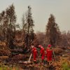 Karhutla Meluas di Kalimantan, Kabut Asap Ganggu Aktivitas Warga dan Ancam Kualitas Udara