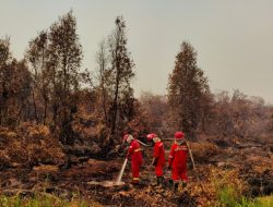 Karhutla Meluas di Kalimantan, Kabut Asap Ganggu Aktivitas Warga dan Ancam Kualitas Udara
