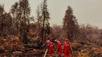 Karhutla Meluas di Kalimantan, Kabut Asap Ganggu Aktivitas Warga dan Ancam Kualitas Udara