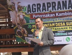 Agraprana Farm Resmi Diluncurkan, BUMDes Sumberjaya Dorong Ketahanan Pangan