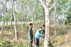 Sisi Lain Keseharian Warga Di Lokasi TMMD ke-116 Kodim 1002/HST