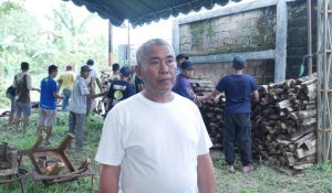 H. Mansyur Ketua NasDem Kalsel Bagikan 420 Ekor Sapi Kurban