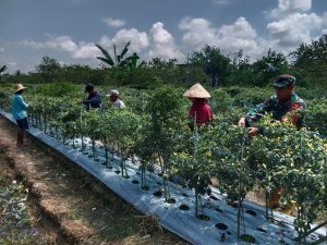 Bantu Rakyat, Babinsa Tangguh “Bangun Ekonomi Kampung Halaman”