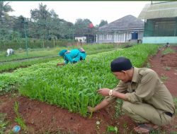 Program Kolaborasi dan Sinergi Pusat Pelatihan Pertanian Perdesaan Swadaya (P4S) Kota Tangerang Selatan dalam Menghadapi Masalah Ketahanan Pangan