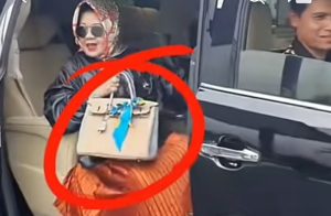 Kepala Dinas Kesehatan Lampung Reihana: Viral Jadi Sorotan Warganet, Ini Profilnya