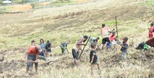 Sukseskan Ketahanan Pangan, Satgas YR 321/GT Buka Lahan Perkebunan Bersama Masyarakat Jayawijaya