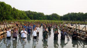 Tanam Mangrove Secara Serentak, Mabes TNI Raih Rekor Muri