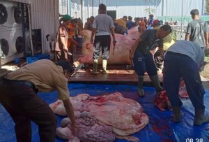 Ceria Qurban 1444 H di Zaytun Penuh Manfaat