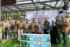 KLHK Dan Taman Safari Indonesia Lepas Komodo Ke Alam Liar