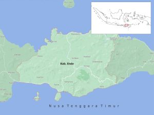BMKG Sebut Gempa Terjadi Di Kepulauan Ende Menyebar Hingga Bali
